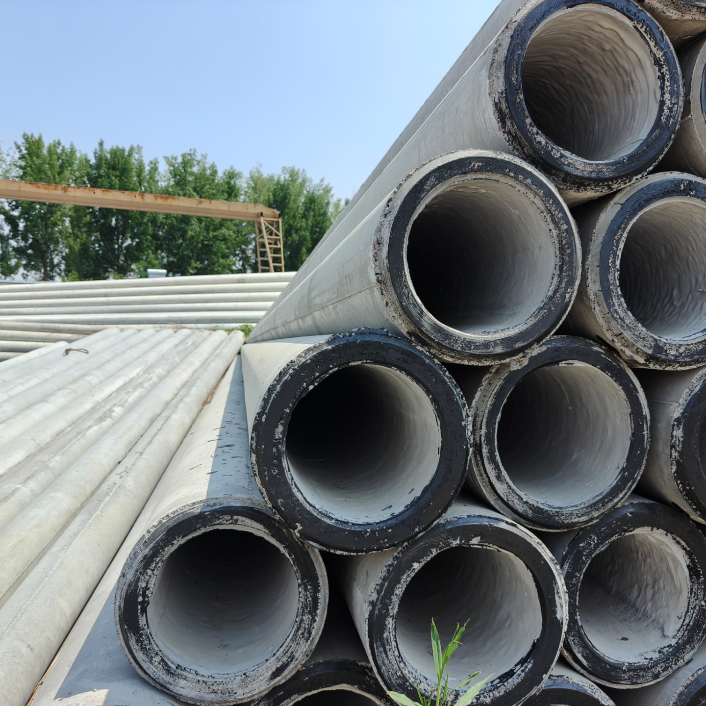 连云港10米预应力水泥电杆